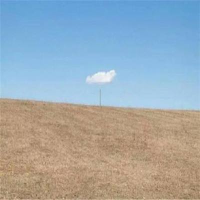 澳门新莆京游戏手机app下载